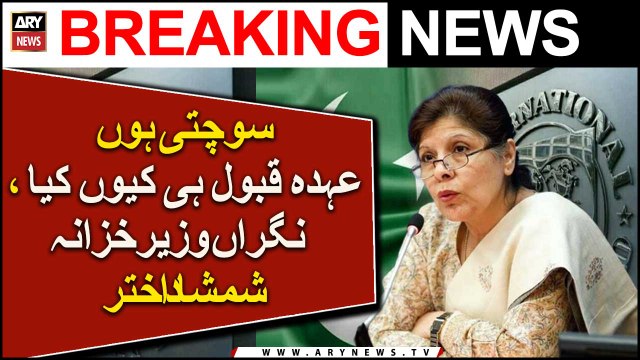 Caretaker finance minister rules out ‘more subsidies’ in IMF agreements