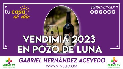 Vendimia 2023 en Pozo de Luna