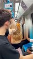 Marmaray'da infiale yol açan olay! Kadının başörtüsünü çıkarmaya çalıştı, yolcular tepki gösterdi