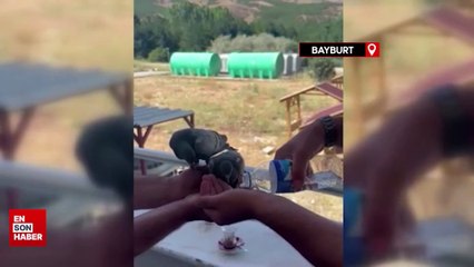 Bayburt’tan yürekleri ısıtan görüntü