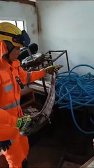 Homem acha jiboia de 1,5m em gaveta e aciona bombeiros em MG