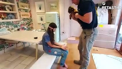 Heartwarming Dog Surprise Watch Their Reaction!   PETASTIC