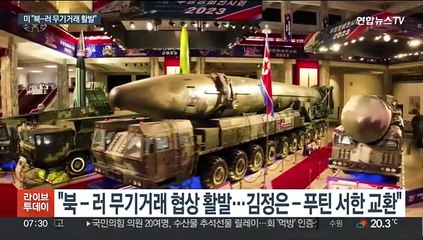 "북-러 무기거래 활발…김정은-푸틴 친서 교환까지"