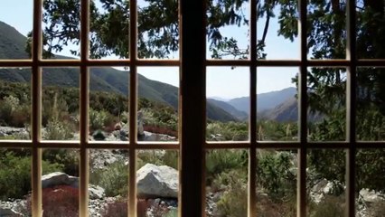 Crickets Sound | Near The Nature