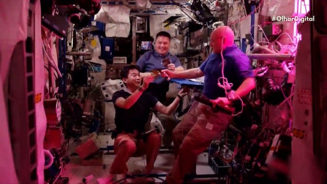 Crew-7 estudará os efeitos de viagens espaciais no corpo humano