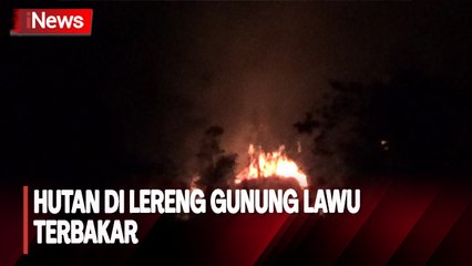 Hutan di Lereng Gunung Lawu Terbakar, Areal Seluas 9 Hektare Gosong