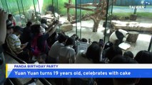 Taipei Zoo Giant Panda Yuan Yuan Celebrates 19th Birthday