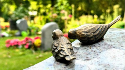 Verrückte Geschichte: Diese Frau soll lebendig begraben worden sein