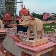 दुनिया की सबसे बड़ी घंटी का आठवां रिकॉर्ड भी आर्य एंड टीम के नाम दर्ज