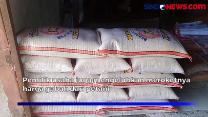 Dampak Kemarau, Harga Gabah di Kota Serang Melonjak