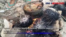 Berburu Kuliner Daging Bulu Babi di Pulau Gede, Rembang