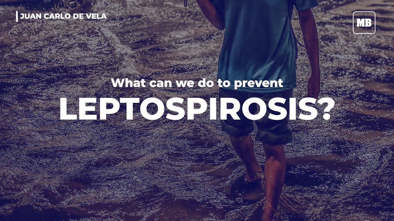 What can we do to prevent Leptospirosis?