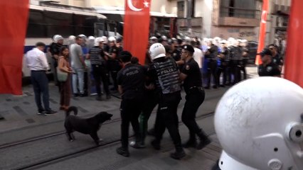 Öğretmenlerin eylemine müdahale eden polise sokak köpeğinden tepki