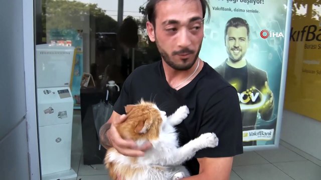 İstanbul’da hayvana şiddete meydan dayağı kamerada: Evire çevire dövdü