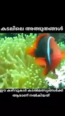 PARINAMAM പരിണാമം EVOLUTION YUKTHIVADI FREETHINKERS YUKTHIVADAM ATHEIST KERALA SCIENTIFIC MALAYALAM