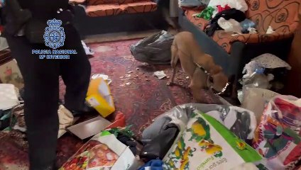 Operación Policía Nacional en Gran Canaria