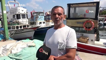 Yalova'da balıkçıklar hamsiden umutlu: “Vatandaşımız bu yıl mutlaka balık yer. Bu sene hamsi bol”