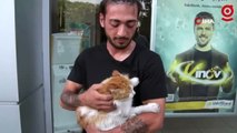 İstanbul’da hayvana şiddete meydan dayağı kamerada: Kediye tekme atan şahsı evire çevire dövdü