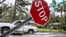 ABD'nin Florida eyaletinde Idalia Kasırgası karaya vurdu! Sel ve su baskınlarına neden oldu