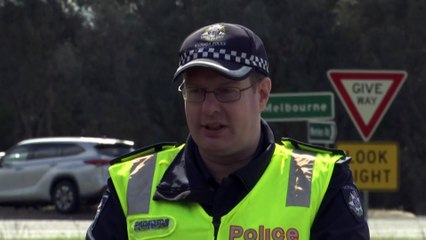 Four people killed in collision between car and truck