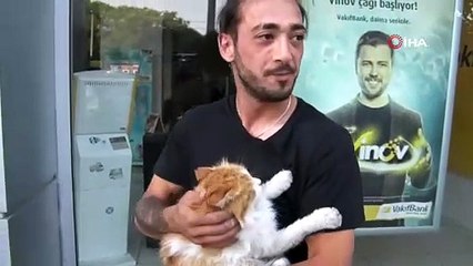 Kediye tekmeye meydan dayağı! Evire çevire dövdü