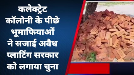 अमरोहा: डीएम आवास के पीछे भूमाफिया ने बनाई अवैध प्लाटिंग