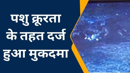 हैवानियत: घर के बाहर बंधी गाय के साथ &#039;गंदी बात&#039;, वीडियो देखकर शर्मसार हो जाएगी इंसानियत