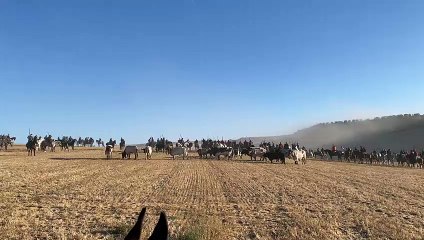 Multitud de caballistas se congregan en el quinto y último encierro de las fiestas de Cuéllar
