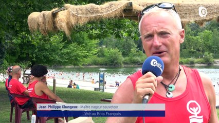 Reportage - L’été au bois français - Reportages - TéléGrenoble