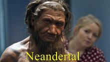 Kaybolan Güçlü İnsan Türü - NEANDERTALLER (  Yeniden düzenlendi )
