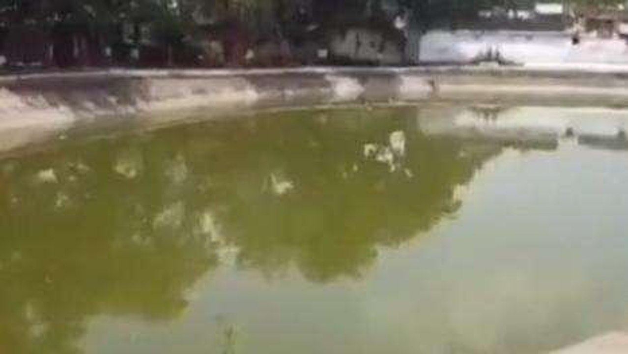 जबलपुर: युवक ने शराब के नशे में तालाब में लगाई छलांग, फिर जो हुआ...