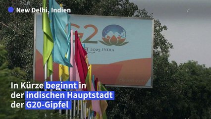 Download Video: Vor G20-Gipfel: Indische Behörden rücken Makaken zu Leibe