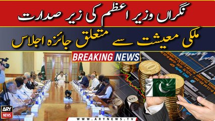 PM Anwar Ul Haq Kakar chairs review meeting on country's economy