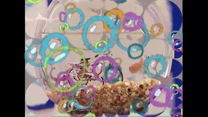 Elmo's World: Fun Bicycles Adventure 🚲