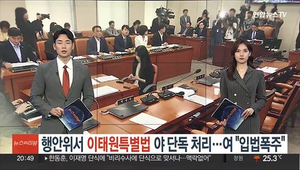 행안위서 '이태원특별법' 야 단독 처리…여 "입법폭주" 반발