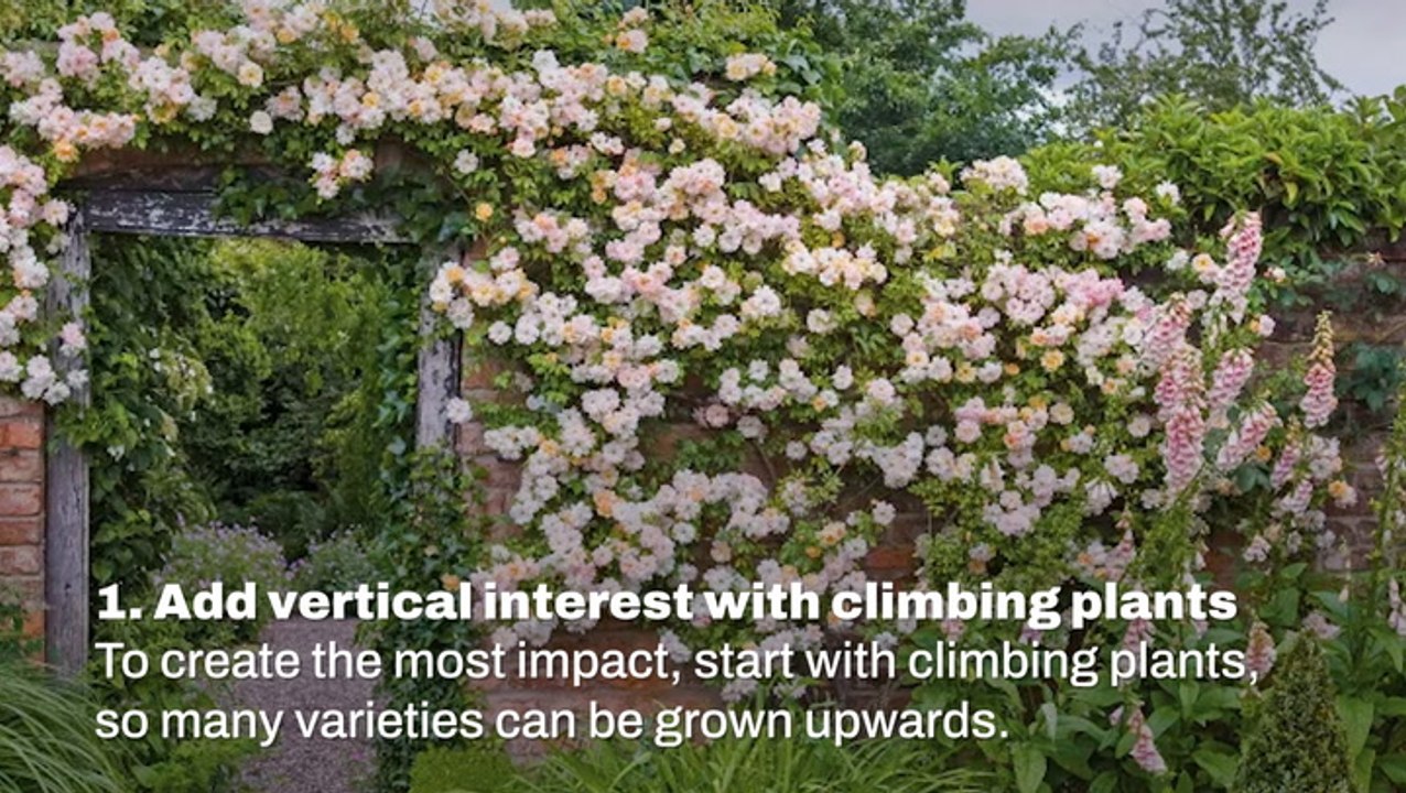 Cottage Garden Ideas I Homes & Gardens