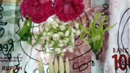 Kesaksian Pelaku Pesugihan Tuyul HItam