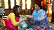 Pakistani Drama Dil Nawaz Episode - 22