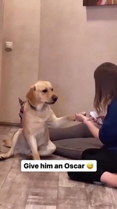 Dog need an Oscar How_talented_the_actor_is