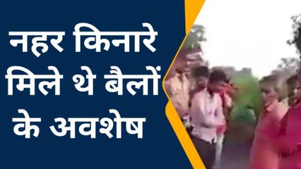 लखीमपुर : गौवंश के अवशेष मिलने से मचा हड़कंप, पुलिस पहुंची मौके पर