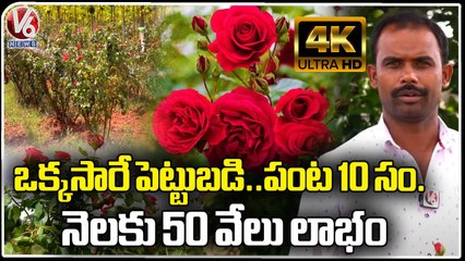 Man Earns Huge Profits With Rose Flowers Farming _ Ranga Reddy _ V6 News (1)