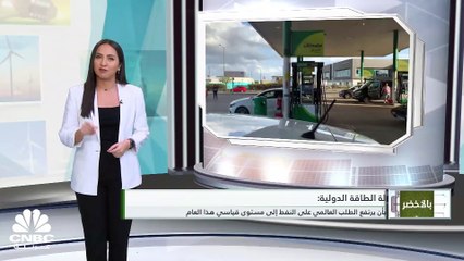 إلى أين وصلت جهود الدول في مجال الاستدامة؟