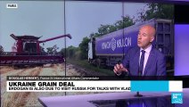 Erdogan, Putin to meet in Russia to discuss Ukraine grain deal