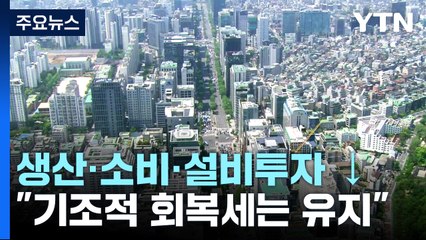 생산·소비·투자 '트리플 감소'...승용차 판매 큰 영향 / YTN