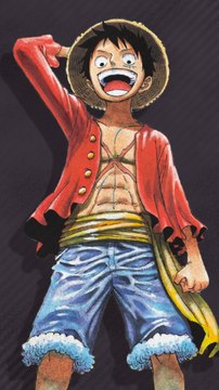 Pourquoi One Piece a-t-il tant de succès ?