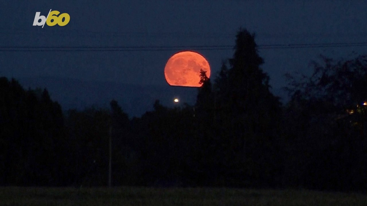 Rare Blue SuperMoon Illuminates The Sky