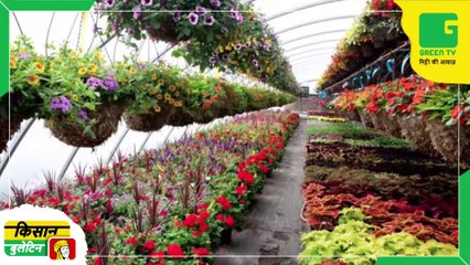 Kisan Bulletin - प्रगतिशील किसान (Progressive Farmer) ने अपने खेतों को बनाया विंटेज विलेज (Vintage Village) ! दूर-दूर शहरों से शांति में रहने आते हैं पर्यटक(Tourist) | Green TV