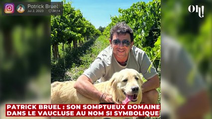 Patrick Bruel : son somptueux domaine dans le Vaucluse au nom si symbolique