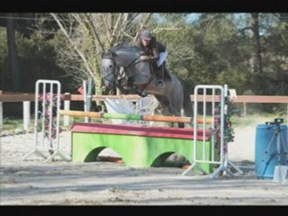 +++concours sthubert mars 2008