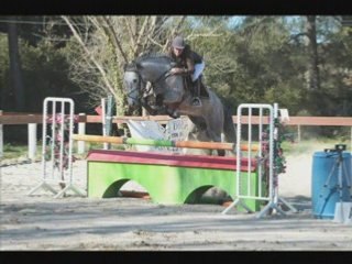 +++concours sthubert mars 2008